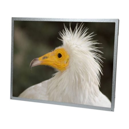 Display AUO G150xG01 V3.0